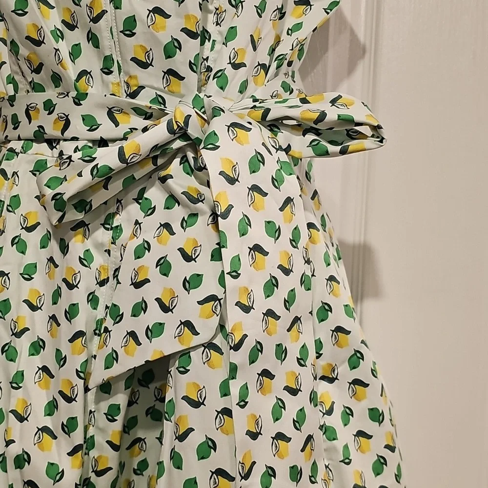 Boden Mischa Belted Lemon & Lime Dress Sz 14R NWT - Picture 7 of 13